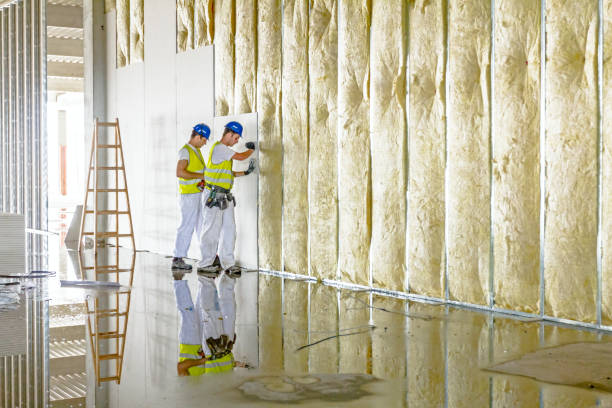 Best Types of Insulation in Hastings, MI